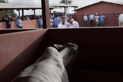 2亿4800万美元牛肉到中国！200万吨巴西牛肉如何抢占中国市场？