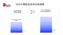 全面分析2025年橡胶促进剂市场