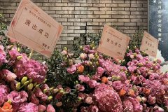 derpixonmimeAnddAsh哑剧猫：充满想象力的表演